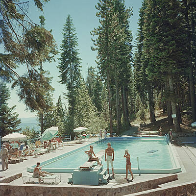 Sunny Day at Forest Poolside Wall Art