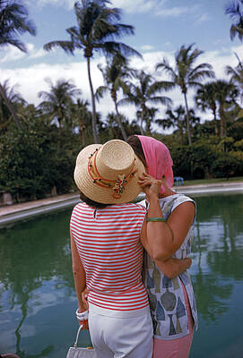 Tropical Poolside Gossip Wall Art