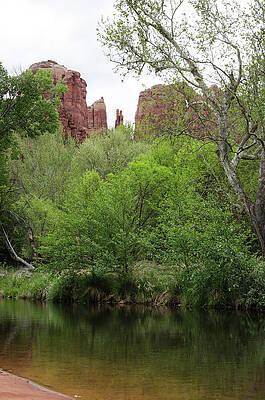 Arizona Photograph - Portrait Of Oak Creek by Douglas Wielfaert