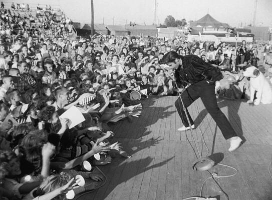 Elvis Performing to Enthusiastic Crowd Wall Art