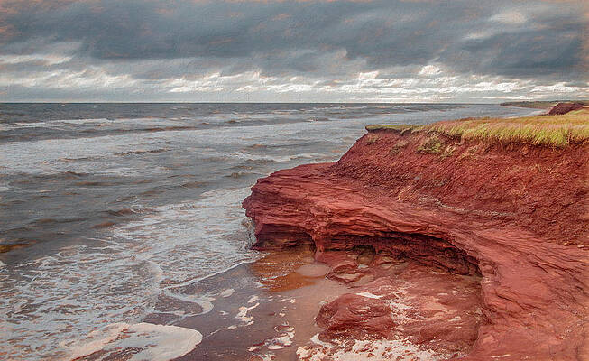 Natural Photograph - Prince Edward Island's Ravaged And Rugged Shore by Marcy Wielfaert