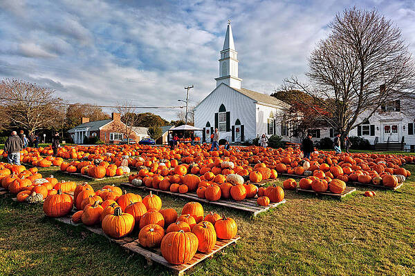 Ma Wall Art featuring the digital art Pumpkin Sale, Cape Cod, Massachusetts by Claudia Uripos