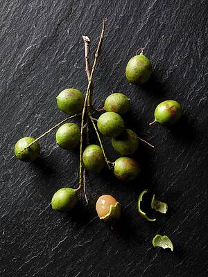 Quenepas Spanish Limes From Puerto Rico Print