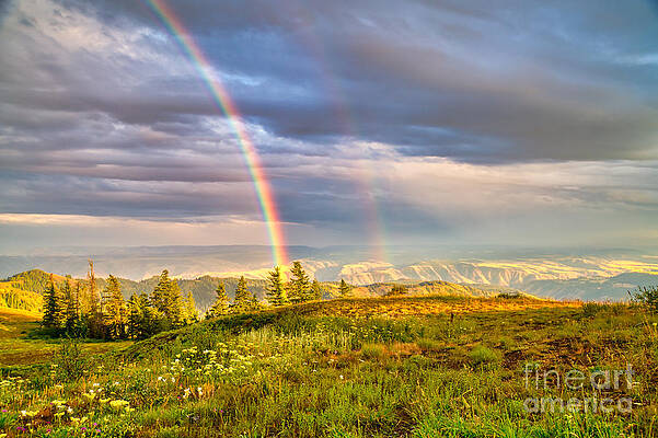 Mountain Photograph - Rainbow In The Blue Mountains by Bruce Block