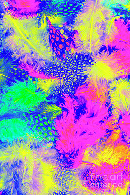 Natural Wall Art featuring the photograph Rainbow Radiance by Jorgo Photography