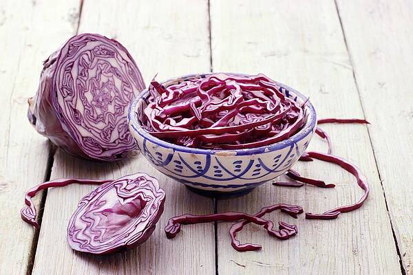 Red Cabbage Still Life Print