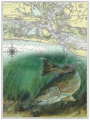 Red Drum And Blue Crab Print