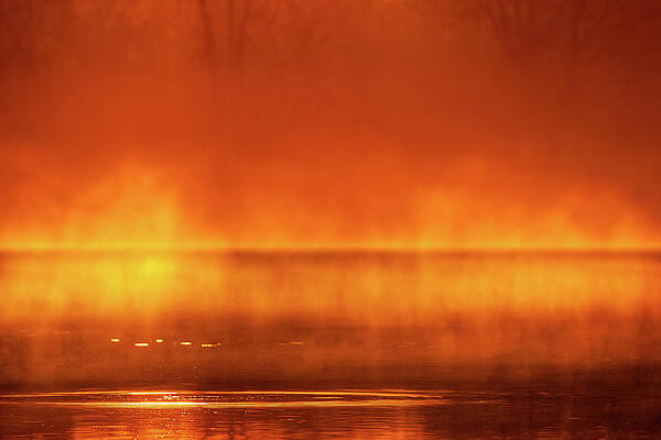 Wall Art featuring the photograph Red Mist by Jeff Phillippi