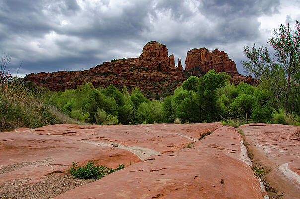 Arizona Photograph - Red Rock Leading Lines by Douglas Wielfaert