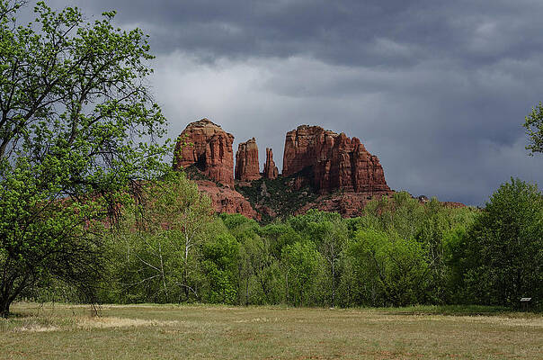 Arizona Photograph - Red Rock State Park by Douglas Wielfaert