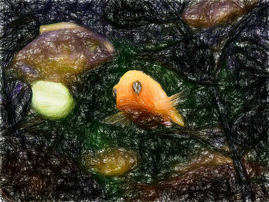 Wildlife Digital Art - Red Zebra Big Eyes by Don Northup