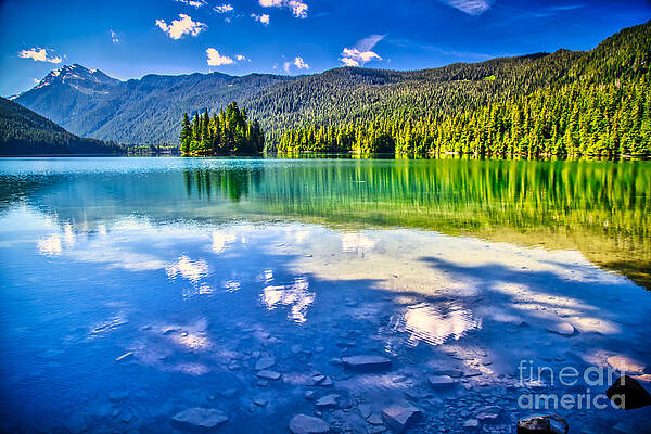 Summer Photograph - Reflections In Packwood Lake by Bruce Block