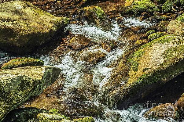 Wall Art featuring the photograph Relaxing Panorama Of Great Smoky Mountains National Park River by Stefano Senise