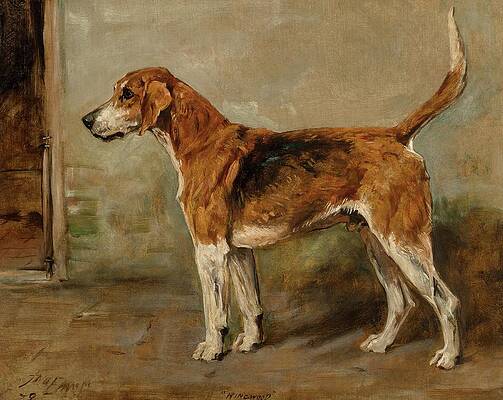 Brown and White Hound Dog Painting