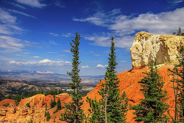 Utah Wall Art featuring the photograph Rock With A View by Dawn Richards