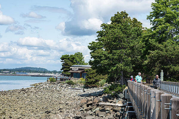 Beach Photograph - Rocky Beach And Trestle Bridge At Boulevard Park by Tom Cochran