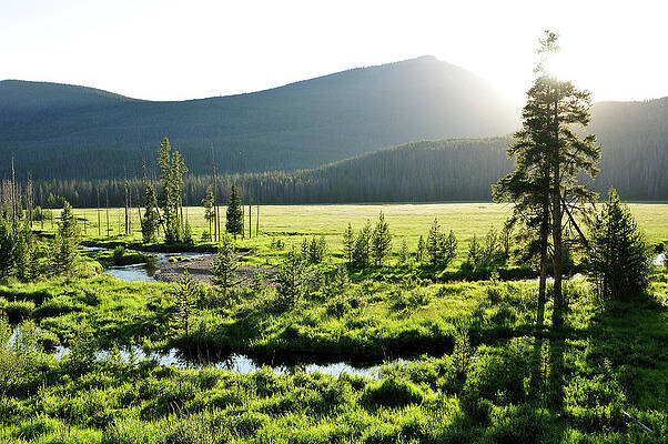 Wall Art featuring the digital art Rocky Mountain National Park by Heeb Photos