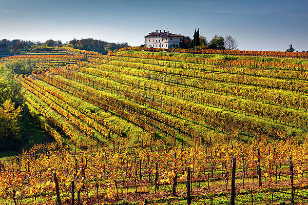 Daytime Wall Art featuring the digital art Rosazzo Abbey, Udine, Italy by Olimpio Fantuz