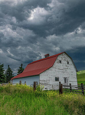 Country Photograph - Rural Montana Barn, Vertical by Marcy Wielfaert