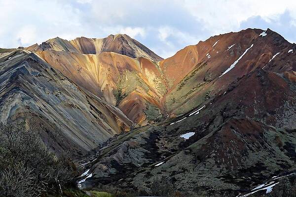 Alaska Photograph - Sable Pass - Denali National Park by KJ Swan