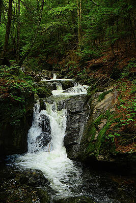 Wall Art featuring the photograph Sages Ravine 3 by Raymond Salani III
