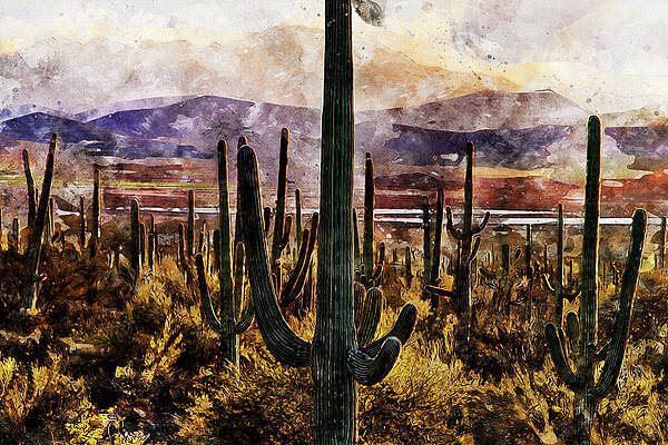 Saguaro Cacti at Sunset Painting