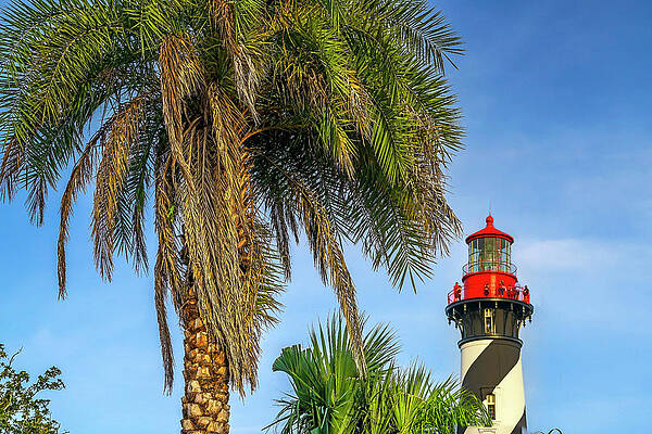 Florida Wall Art featuring the photograph Saint Augustine Lighthouse by Laura Zeid