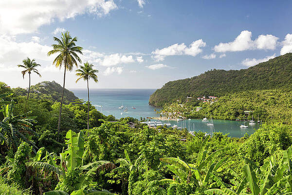 Wall Art featuring the digital art Saint Lucia, Caribbean, Marigot Beach by Tim Mannakee