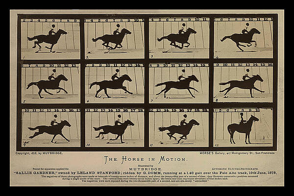 Historical Wall Art featuring the photograph Sallie Gardner At A Gallop - Horse In Motion by Richard Reeve