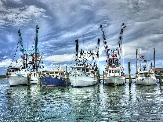 Wall Art featuring the photograph Salty Shrimp Boats by Lloyd Gillies