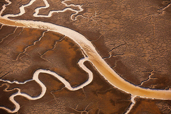 Wall Art featuring the photograph San Francisco Bay Salt Flats With by Mint Images Art Wolfe