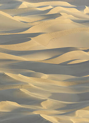 Wall Art featuring the photograph Sand Dunes Death Valley National Park by Eastcott Momatiuk