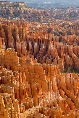 Wall Art featuring the photograph Sandstone Pinnacles,  Bryce Canyon N.p by Eastcott Momatiuk
