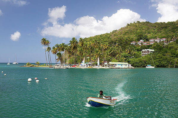 Caribbean Wall Art featuring the digital art Sant Lucia, Caribbean, Marigot Beach by Tim Mannakee