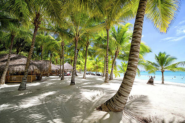 Sky Wall Art featuring the photograph Saona Isalnd by Shirley Mitchell