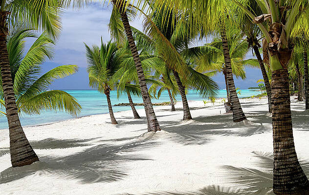 Sky Wall Art featuring the photograph Saona Island by Shirley Mitchell