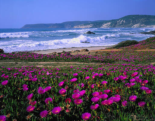 Beautiful Wall Art featuring the digital art Sardinia, Beach, Italy by Johanna Huber
