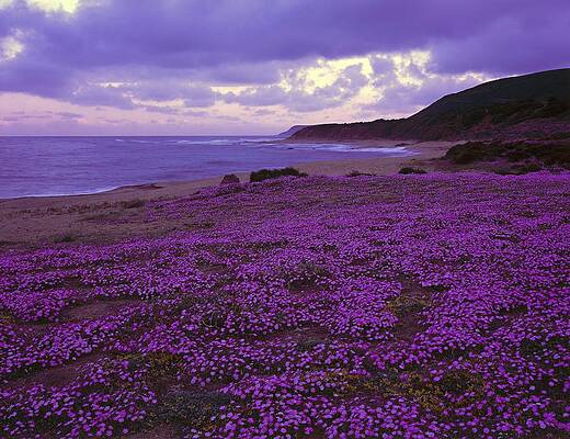 Beautiful Wall Art featuring the digital art Sardinia, Costa Verde, Italy by Olimpio Fantuz