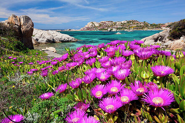 Day Wall Art featuring the digital art Sardinia, La Maddalena, Italy by Olimpio Fantuz
