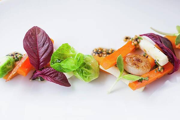 Sauteed Vegetable And Fresh Herbs Print