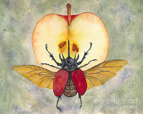 Wall Art featuring the painting Beetle On Apple by Marie Stone-van Vuuren