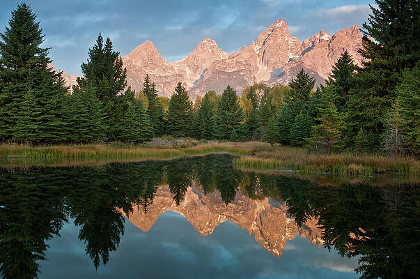 Wall Art featuring the photograph Schwabacher Landing by Lloyd Gillies