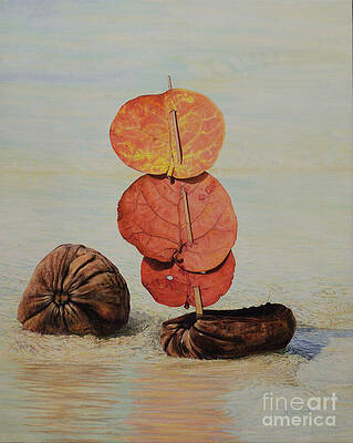 Wall Art featuring the painting Sea Grape Sails by Nicole Minnis