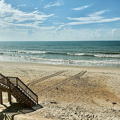 Island Wall Art featuring the photograph Sea Turtle Tracks Surf City Topsail Island N by Flippin Sweet Gear