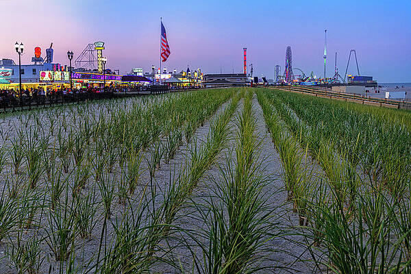 Seaside Boardwalk Sand Dunes Print
