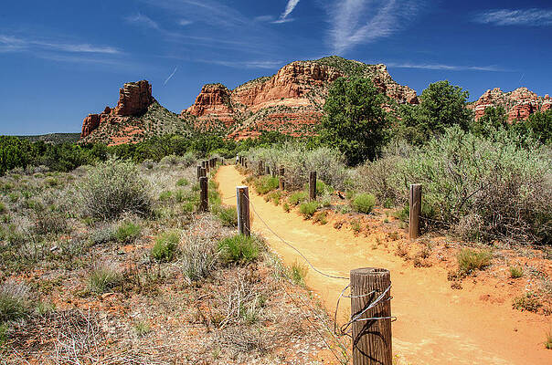 Arizona Photograph - Sedona Spring Trail by Douglas Wielfaert