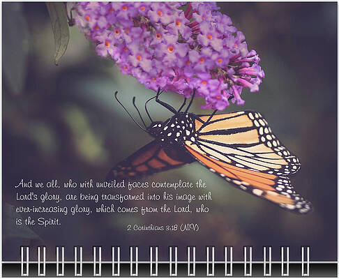 Inspirational Photograph - September Inspirational 2019 Calendar Preview by Joni Eskridge