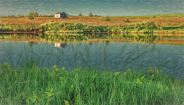 Serene Photograph - Serenity Across The Bay by Marcy Wielfaert