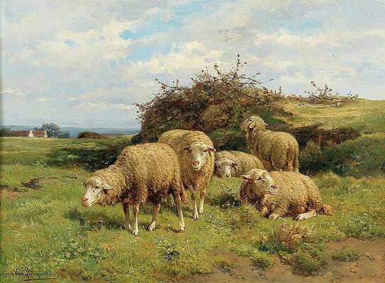 Flock Painting - Sheep In A Meadow by Cornelius Van Leemputten