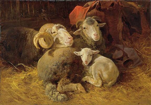 Flock Painting - Sheep In The Stable by Anton Schrdl